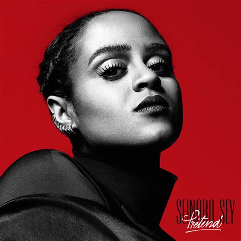 seinabo sey hard time song